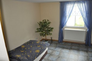 wohnung1-blauer-salon1